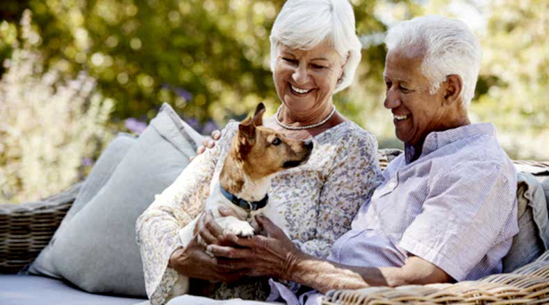 happy senior couple sitting with a pet dog in the PERQJ2X 1